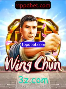 Mergulhando no Universo de WingChun: Estrutura e Regras do Jogo
