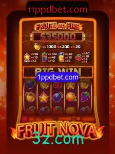 Explorando o Mundo de FruitNova: Um Guia Completo para Jogadores